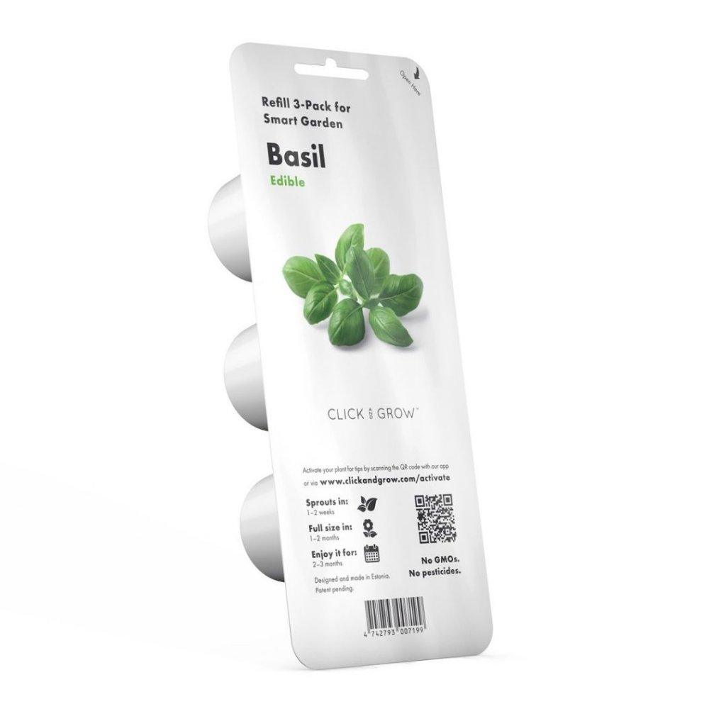 Baziliks (Basil) - Burzmart.lv