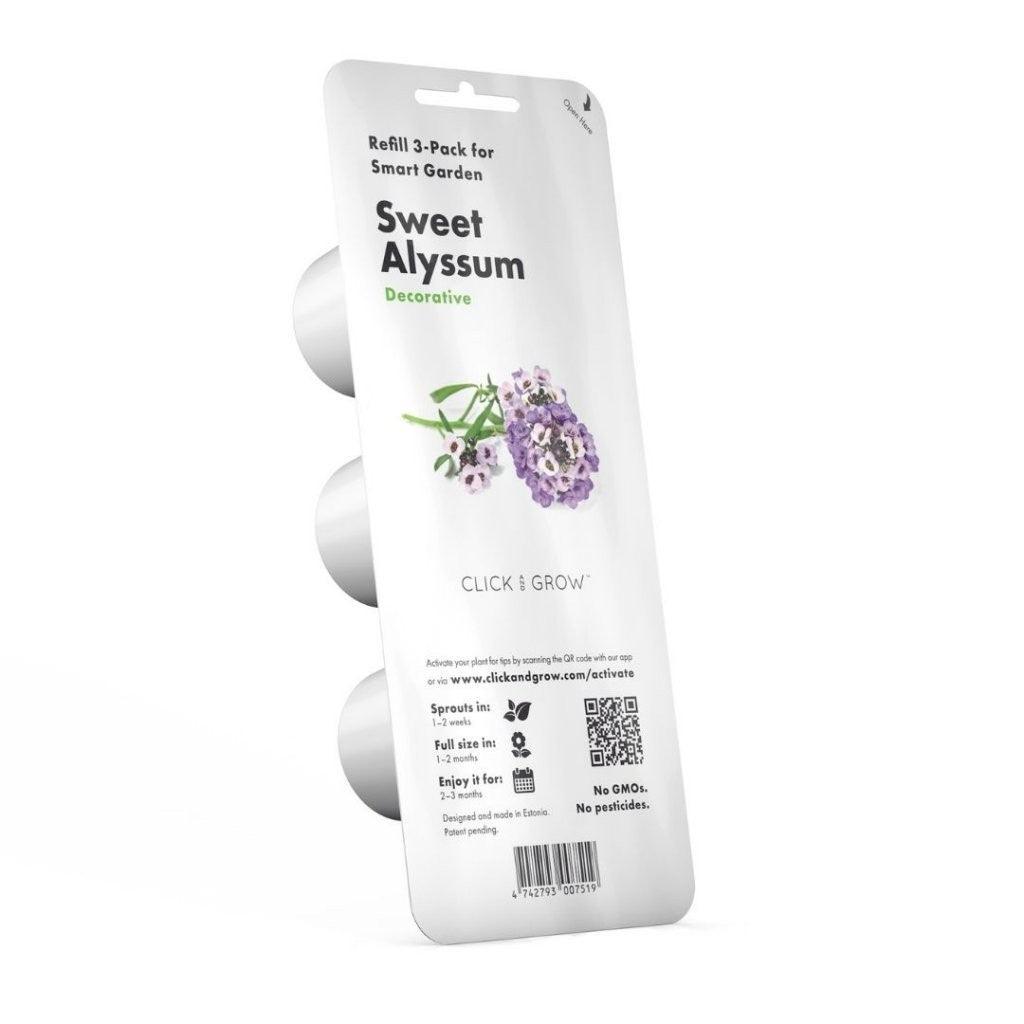 Jūrmalas Sudrabzālīte (Sweet Alyssum) - Burzmart.lv