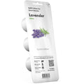 Lavanda (Lavender) - Burzmart.lv