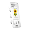 Mini saulespuķes (Mini Sunflowers) - Burzmart.lv