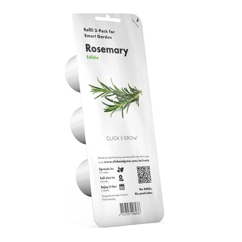 Rozmarīns (Rosemary) - Burzmart.lv