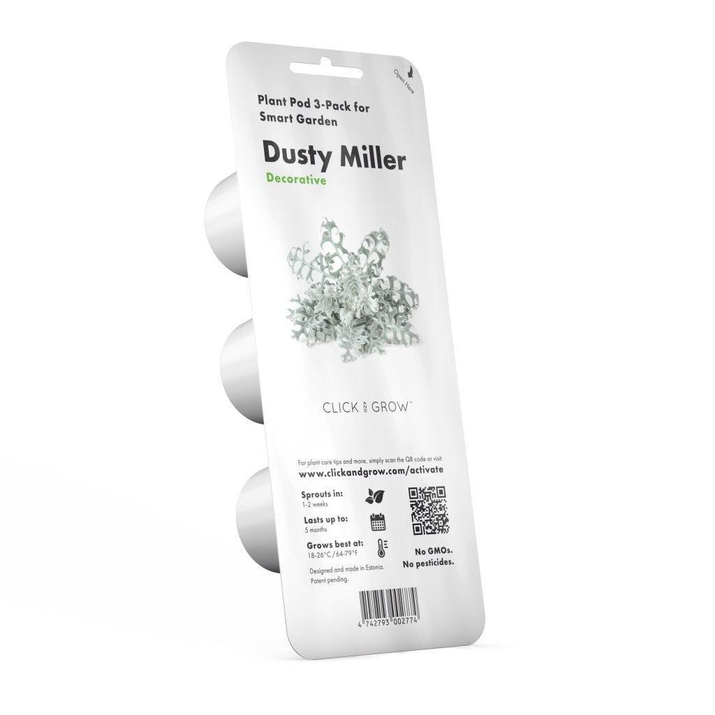 Sudrabpuķīte (Dusty Miller) - Burzmart.lv