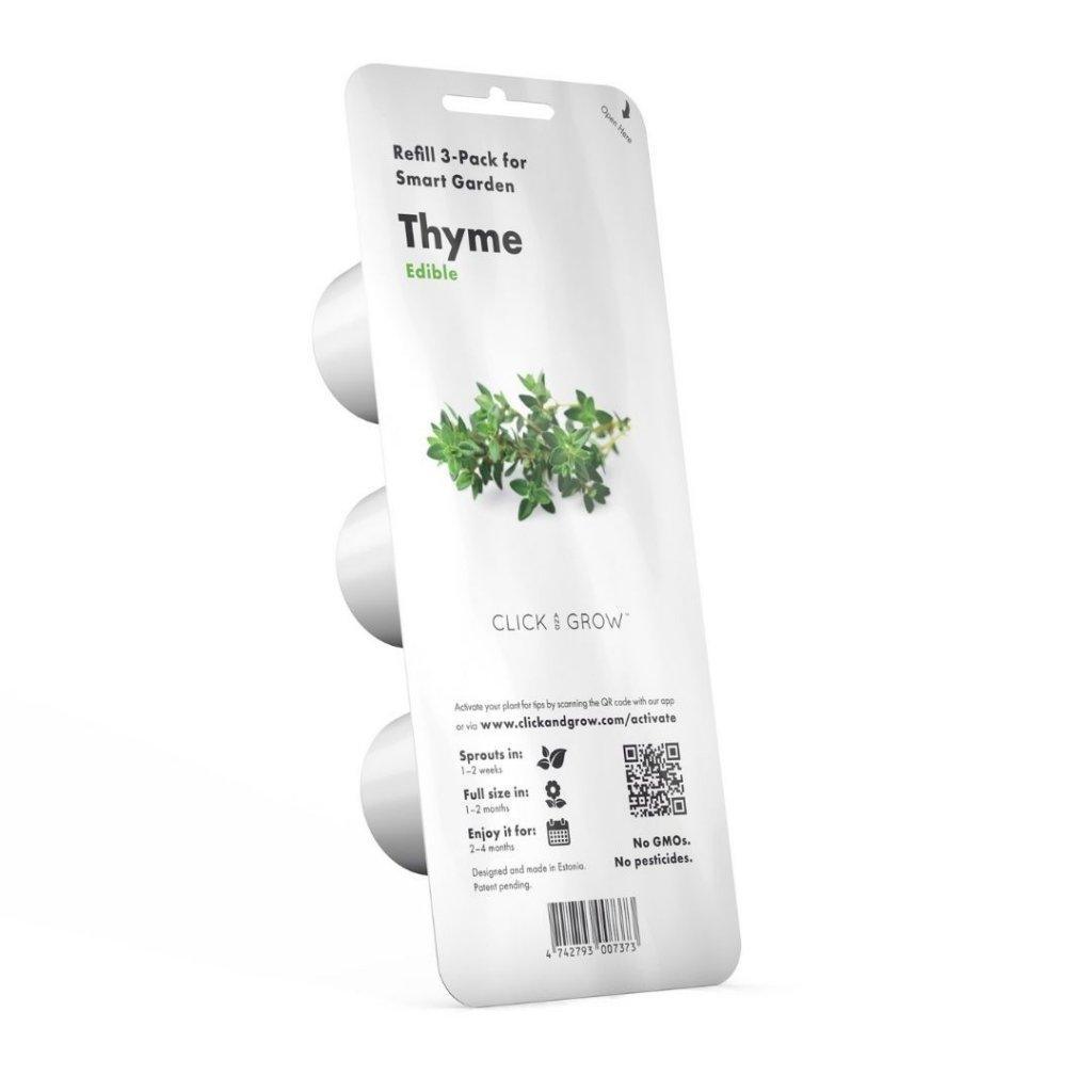 Timiāns (Thyme) - Burzmart.lv