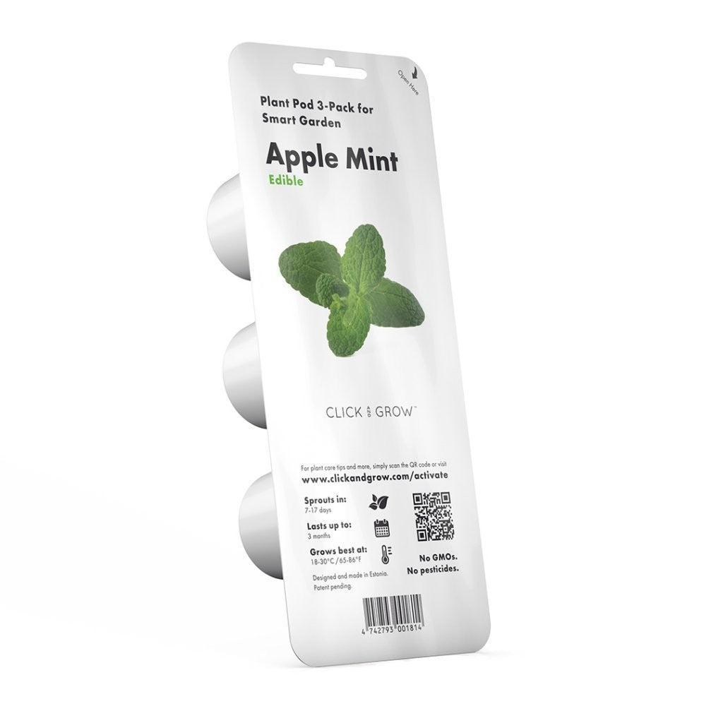 Ābolu mētra (Apple Mint) - Burzmart.lv